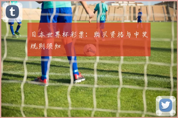 日本世界杯彩票：购买资格与中奖规则须知