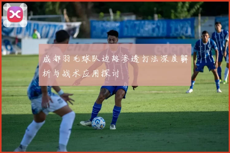 成都羽毛球队边路渗透打法深度解析与战术应用探讨