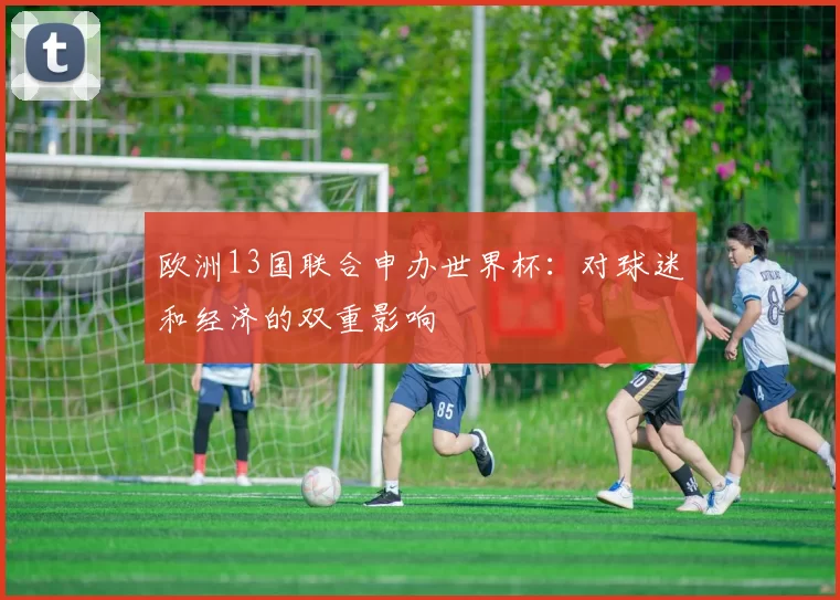 欧洲13国联合申办世界杯：对球迷和经济的双重影响