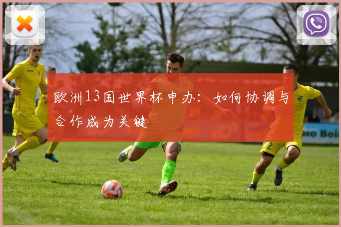 欧洲13国世界杯申办：如何协调与合作成为关键