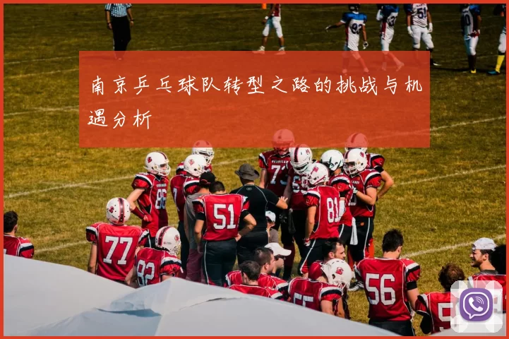 南京乒乓球队转型之路的挑战与机遇分析