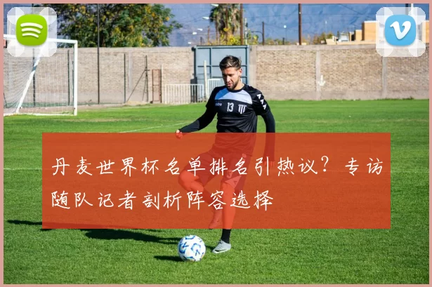 丹麦世界杯名单排名引热议？专访随队记者剖析阵容选择