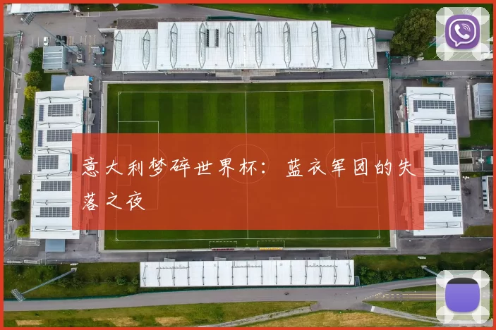 意大利梦碎世界杯：蓝衣军团的失落之夜