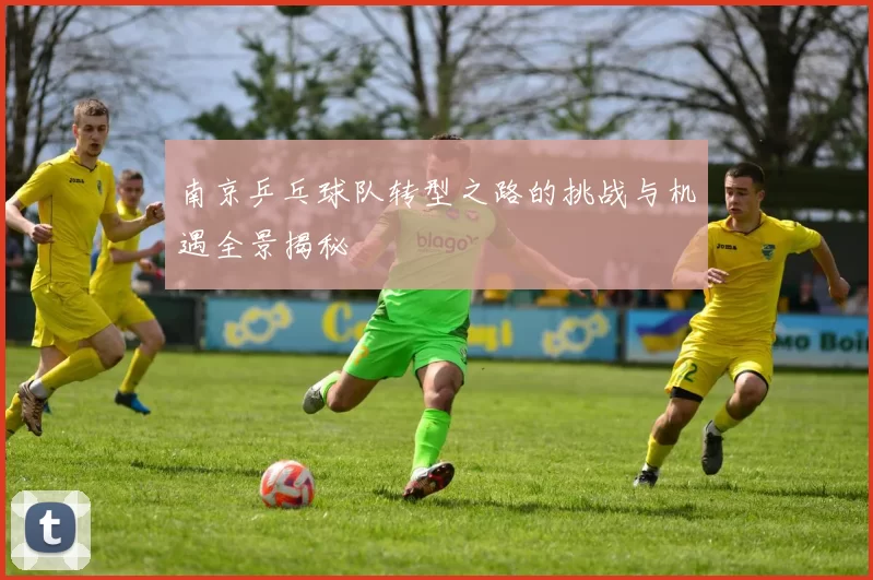 南京乒乓球队转型之路的挑战与机遇全景揭秘