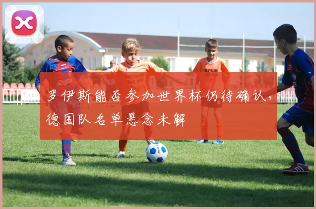 罗伊斯能否参加世界杯仍待确认，德国队名单悬念未解