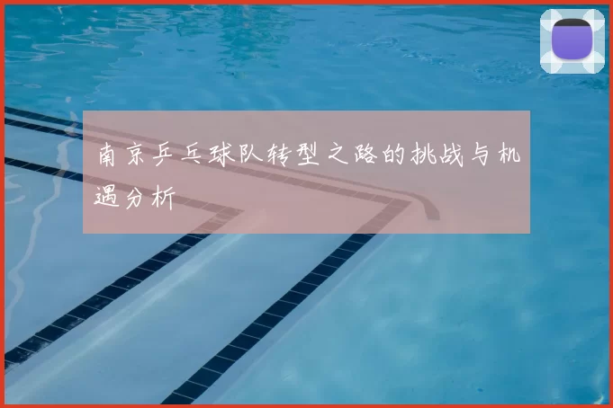 南京乒乓球队转型之路的挑战与机遇分析
