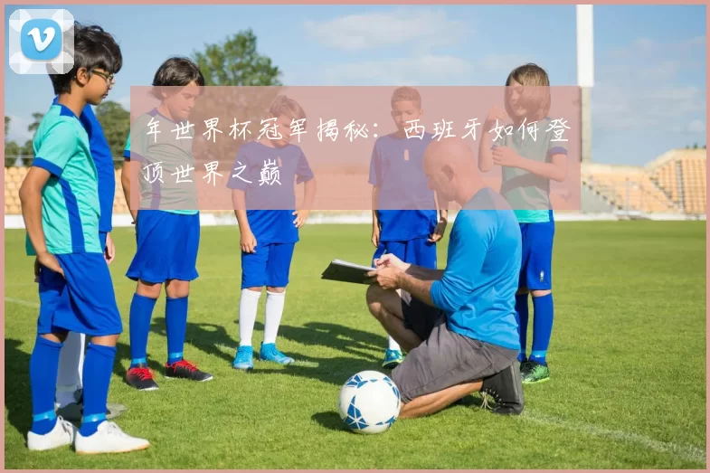 年世界杯冠军揭秘：西班牙如何登顶世界之巅