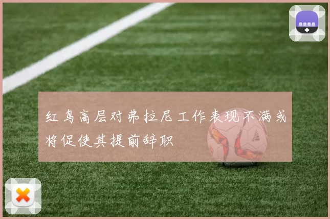 红鸟高层对弗拉尼工作表现不满或将促使其提前辞职