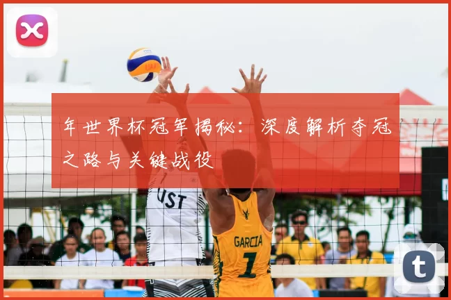 年世界杯冠军揭秘：深度解析夺冠之路与关键战役