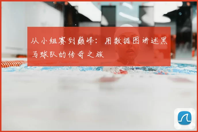 从小组赛到巅峰：用数据图讲述黑马球队的传奇之旅