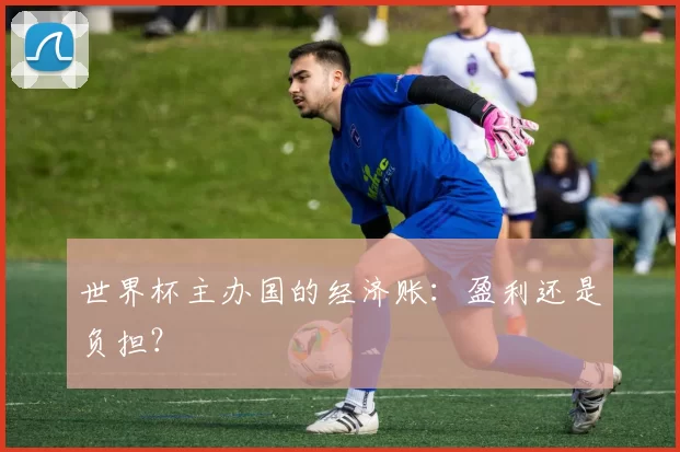 世界杯主办国的经济账：盈利还是负担？