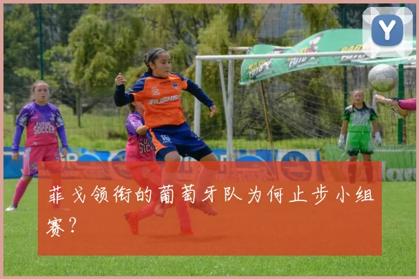 菲戈领衔的葡萄牙队为何止步小组赛？