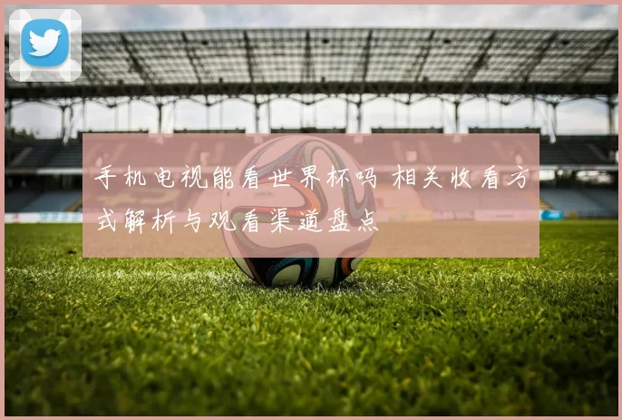 手机电视能看世界杯吗 相关收看方式解析与观看渠道盘点