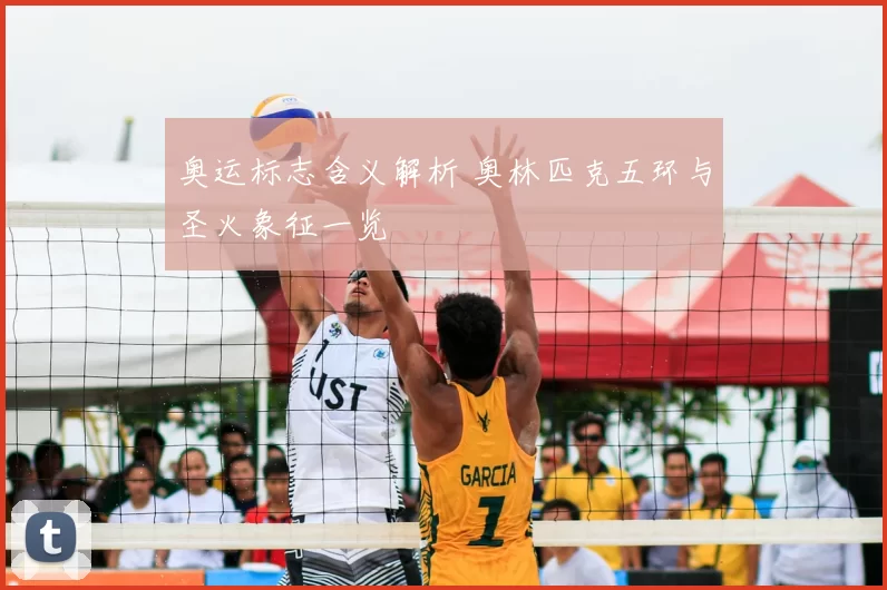奥运标志含义解析 奥林匹克五环与圣火象征一览