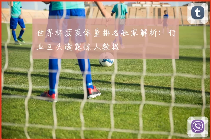 世界杯菠菜体量排名独家解析:行业巨头透露惊人数据