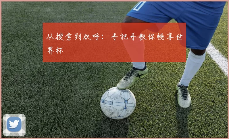 从搜索到欢呼：手把手教你畅享世界杯