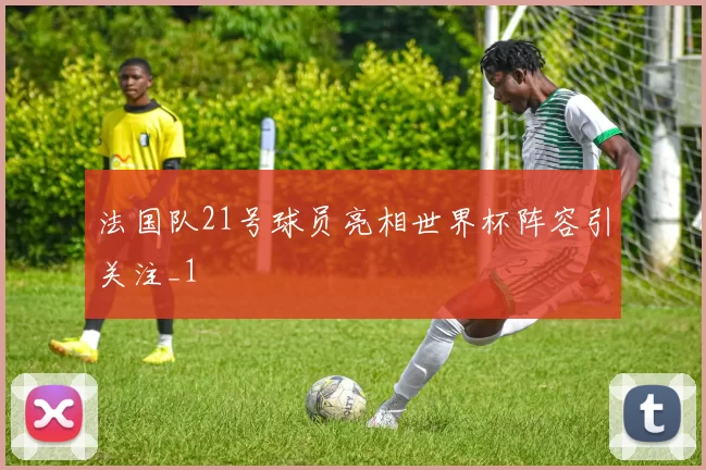 法国队21号球员亮相世界杯阵容引关注_1