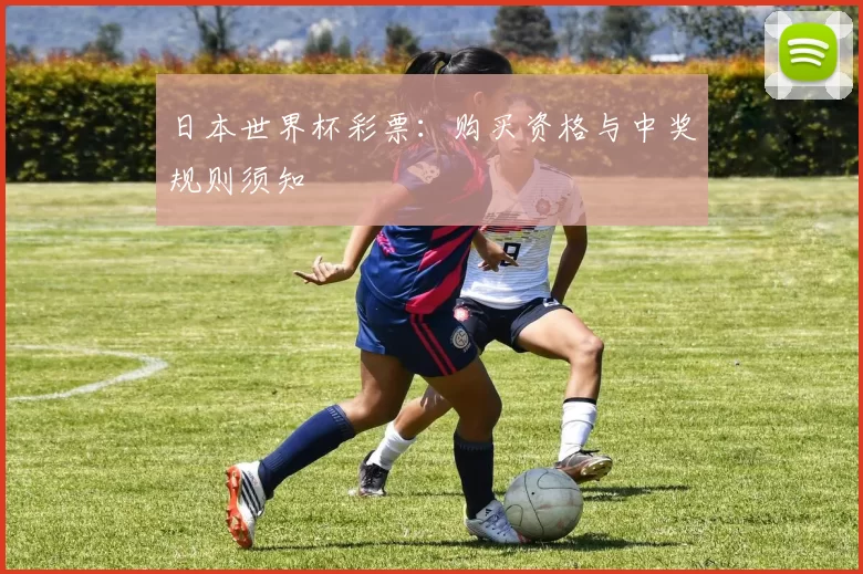 日本世界杯彩票：购买资格与中奖规则须知