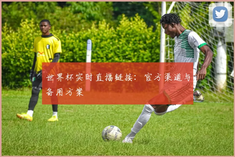 世界杯实时直播链接：官方渠道与备用方案