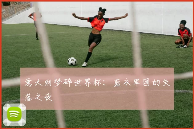 意大利梦碎世界杯：蓝衣军团的失落之夜